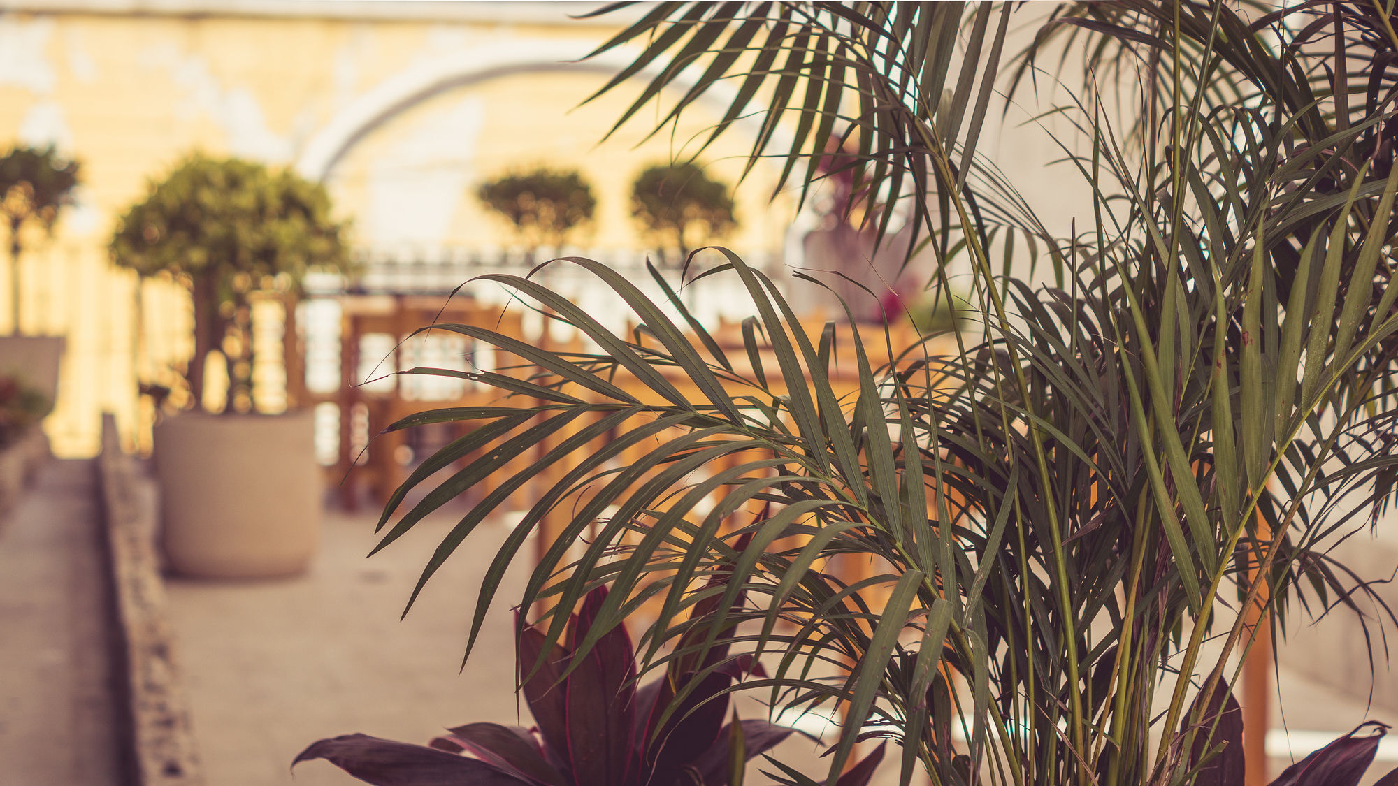 Casa Jade - Downtown Suites (Adults Only) Mérida Exterior photo